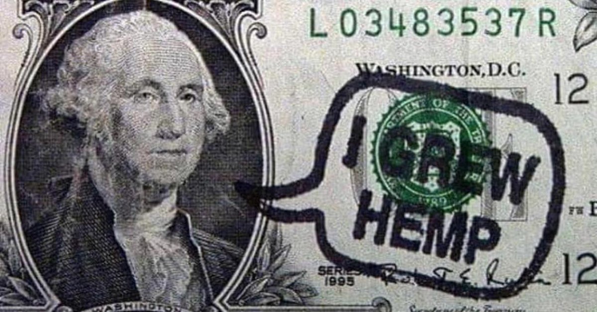 BiodynamicV's tweet image. George Washington cultivated hemp at Mount Vernon for industrial uses. The fibers from hemp were used to make ropes, sail canvas &amp;amp; clothing. Today, we continue to find marvelous uses for hemp, including its cannabinoids for health benefits. #hempfarmers #hemp #farmer #hempfarming