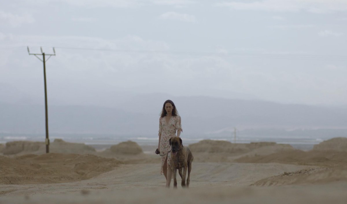 Reprobates tweet media