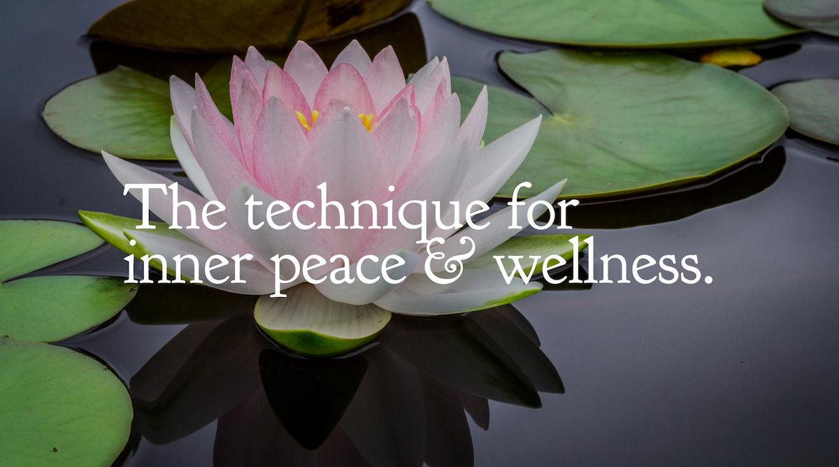 enlighten4ever's tweet photo. What do you want most out of a meditation practice? 
Find a TM teacher at https://t.co/0jvWUQYwWa https://t.co/08RdkodLUF