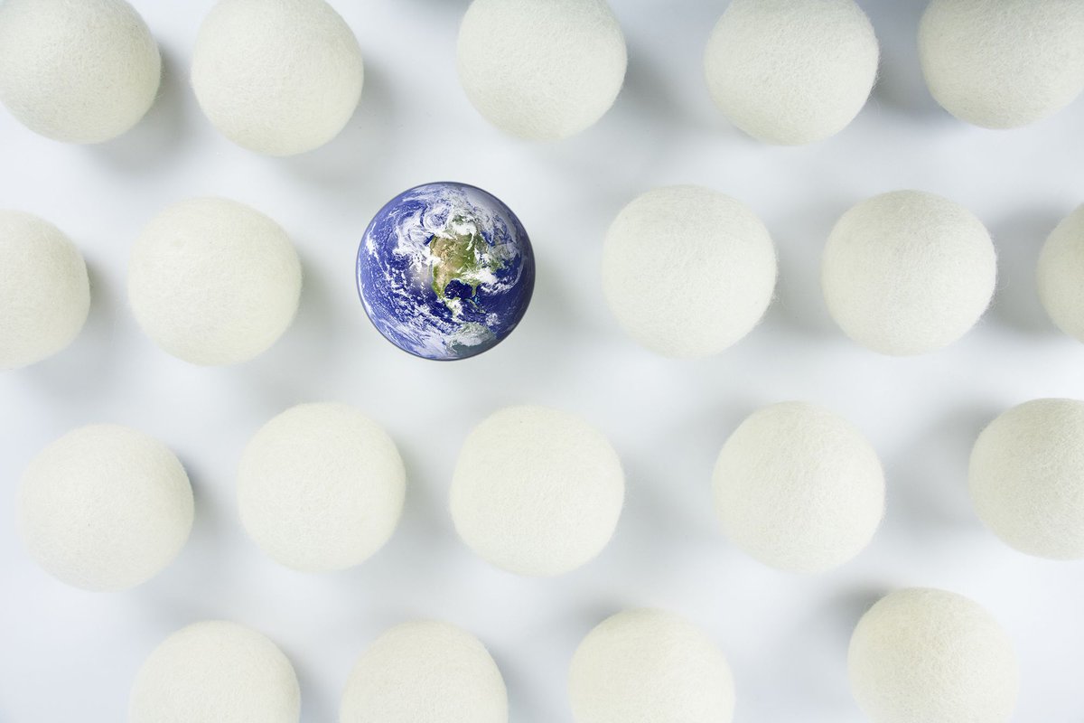 Nellie's tweet media