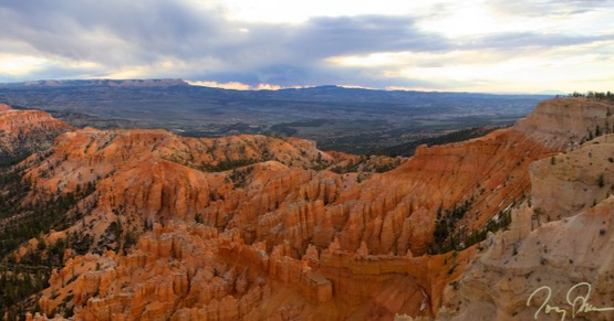 NatureExposed's tweet photo. Happy Earth Day! This planet never ceases to amaze me. 

#brycecanyon #utah #nationalpark #nationalparks #nationalparkservice #earthvisuals #great_captures #landscapephotography #landscape_captures https://t.co/huOmZR4aI2
