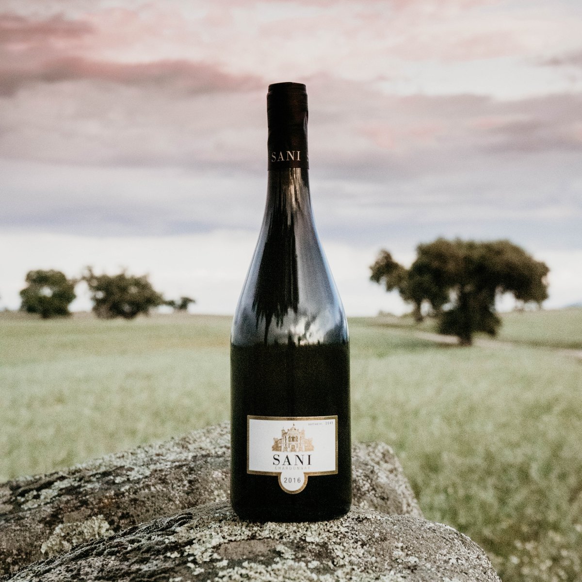 Atardeceres que enamoran, vinos que cautivan paladares, momentos que nunca olvidarás. En la vida hacen falta muy pocas cosas para crear momentos únicos.
.
.
.
#MuchoQueHacerteSentir #CalidadExtremeña #Quotes #TradicionExtremeña #bodegasSani #Vino 
#VinoTinto  #picoftheday