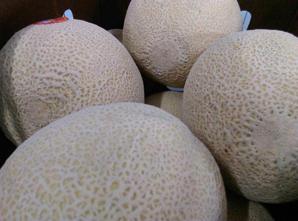 Hogar Cabañas Oficial tweet media