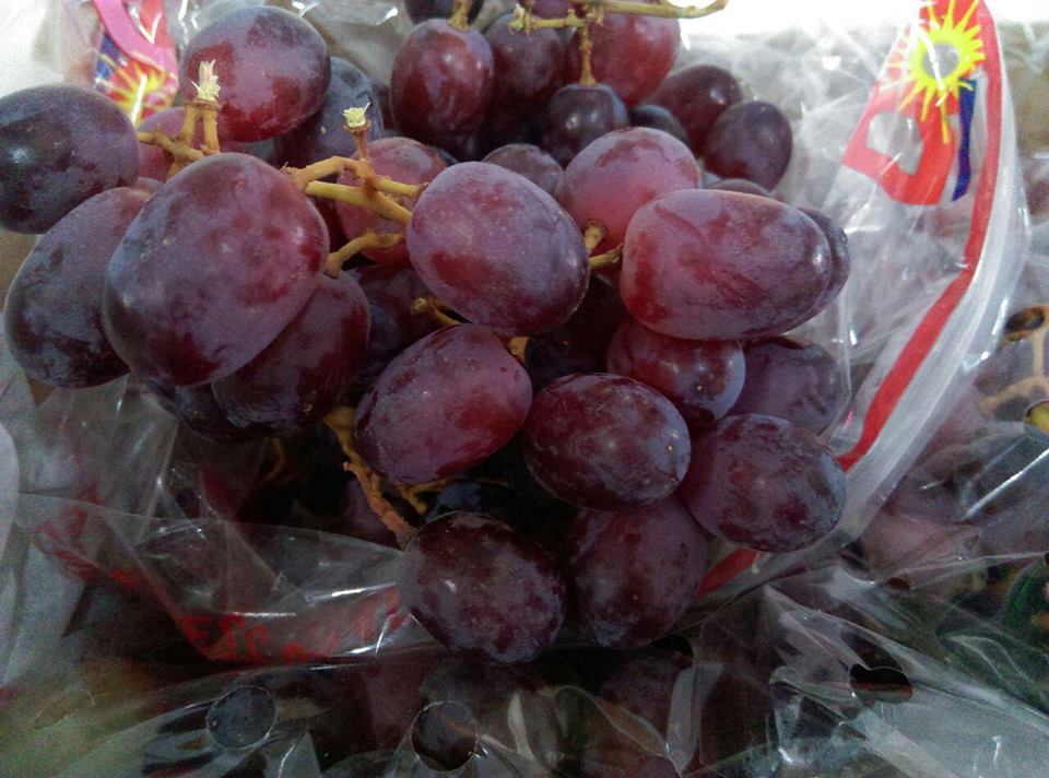 Hogar Cabañas Oficial tweet media