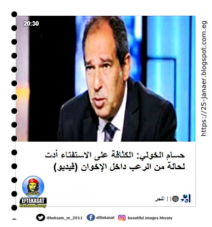 حسام الخولي: أمين عام حزب مستقبل وطن الكثافة على الاستفتاء أدت لحالة من الرعب داخل الإخوان