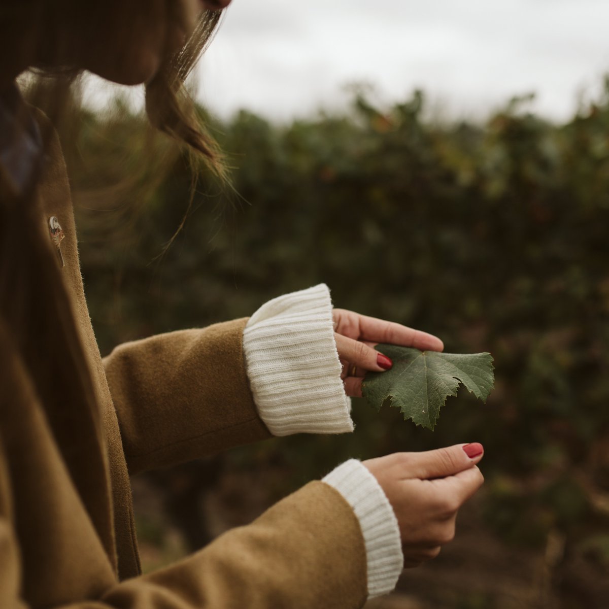 TierrasAltasOK's tweet photo. Hoy 22 de Abril es el #DíaDeLaTierra. 🙌🏼Desde la bodega queremos agradecerle por los frutos que nos permite disfrutar y los invitamos a tomar consciencia sobre el cuidado de nuestro medioambiente. ♻ Es importante que todos aportemos desde nuestro lugar. Salud #EarthLovers! 🍷🌎 https://t.co/rFHwK3dhvC