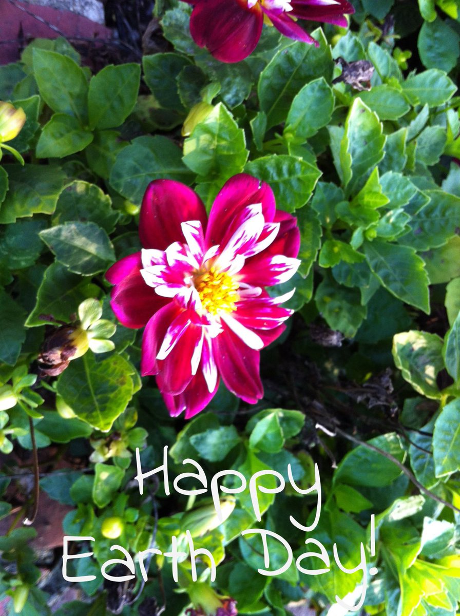 Happy Earth Day! #earthday #geocaching #adventure