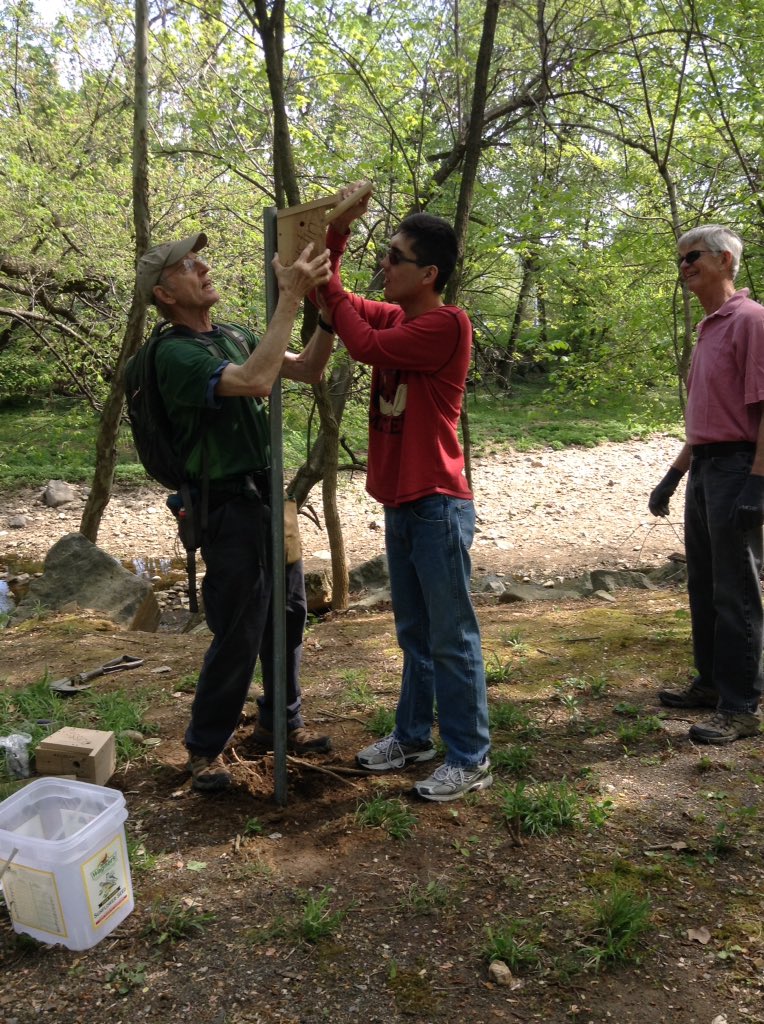 ACCSustainGo's tweet image. PEP students put up the 10 wren and chickadee houses they constructed with volunteers today in Barcroft Park!  Happy Earth Day! @#APSGreen   @Margaretchungcc
 @APSCareerCenter  @micah_pep