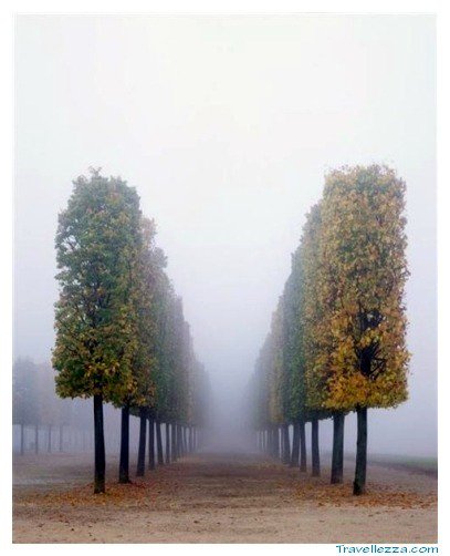 EliseSimms88's tweet photo. Autumn in Versailles, France https://t.co/U8CEzSOkCV #travel #vacation #tourism https://t.co/wypMYbHoEt