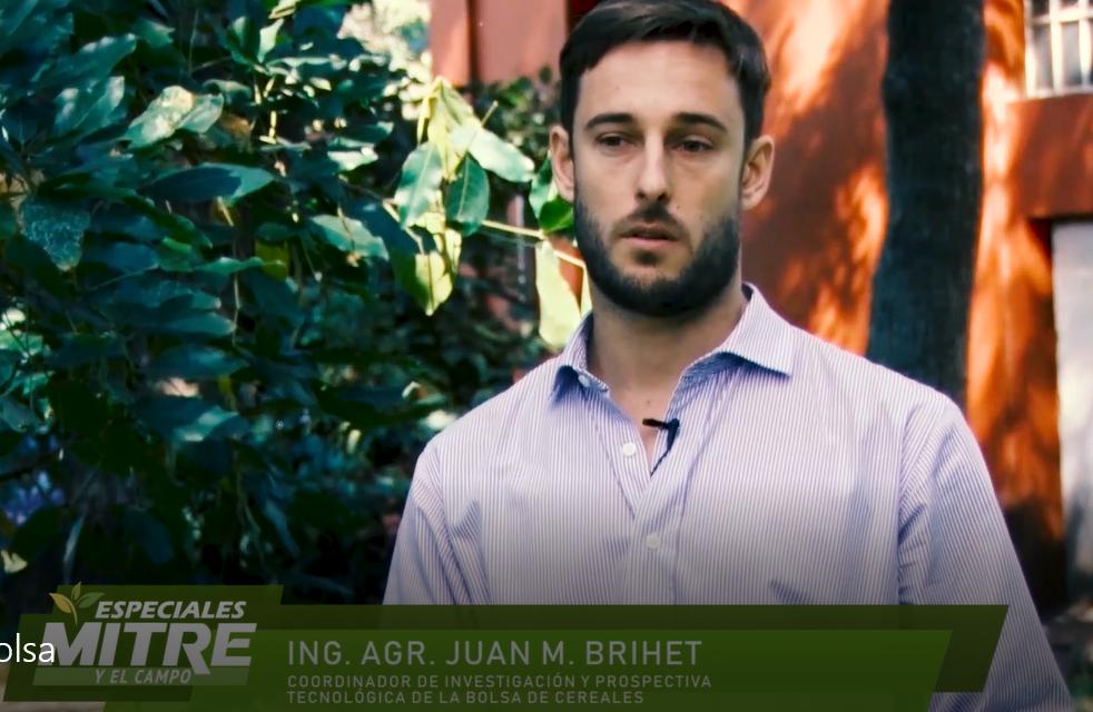 Trigo: "En diez años podríamos tener un incremento de hasta 10 millones de toneladas más" mitreyelcampo.cienradios.com/trigo-diez-ano… <a href="/vilellafer/">Fernando Vilella</a> @bunge <a href="/YPFAgro/">YPF Agro</a>