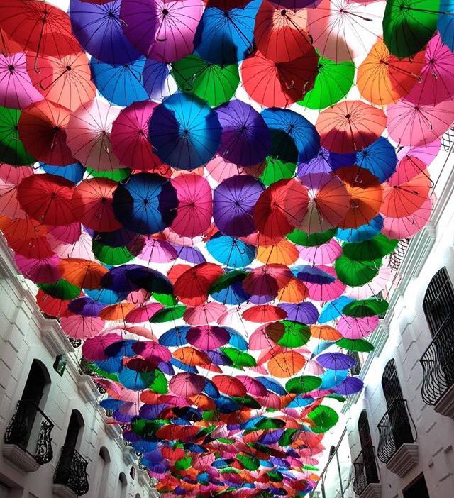 REDRADIOVE na Twitteru: „¿Ya te tomaste tu foto en el decorado pasillo de los paraguas de colores en el centro de #Caracas? Te invitamos a postearla aquí 👇con Hashtags #ParaguasDeColores