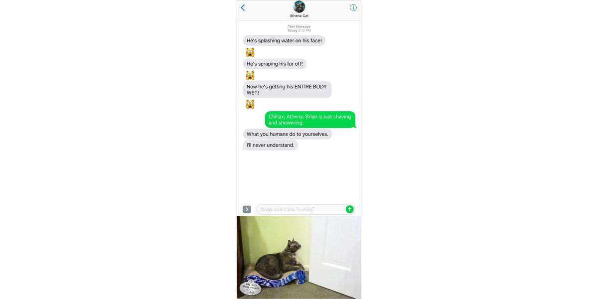 DogsAndCatsText's tweet photo. #TextFromCat: He’s putting water on his face! He scraping his fur off! Now he’s getting his entire body wet! Me: Chilllax, Athena. Brian is just shaving and showering. Cat: What you humans do to yourselves. I’ll never understand.
 #textingcat https://t.co/G3uZEifaBN