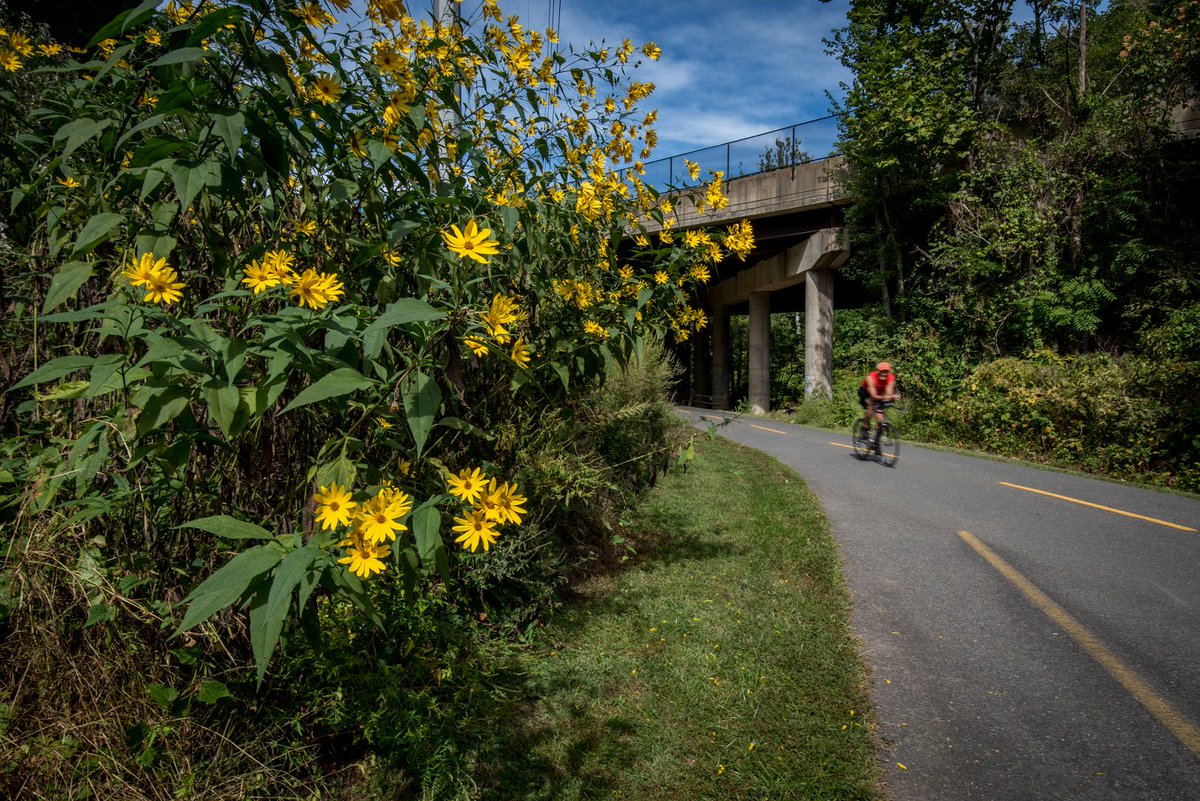 ATPcommutes's tweet photo. Bike on the Pike is this Saturday, April 27 @Dorchester2040 🚲 Stop by any time between 10 a.m. - 1 p.m. for free bike tune-ups courtesy of @papilloncycles, information from @PhoenixBikes, and a community ride that departs at noon. See the flyer here: https://t.co/tIeDKVIHbF https://t.co/paULbHjYRz