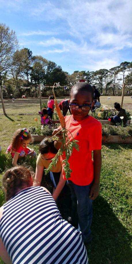 SchoolMeals_NPS's tweet photo. Before spring break our #schoolgarden club at Granby ES harvested carrots π₯ and kale π₯¬ to take home for the break. Eating π½ from a #schoolgarden helps #ReduceReuseRecycle by limiting the amount of gas used to transport food! #EarthDay #F2School https://t.co/OBVtXqES2v