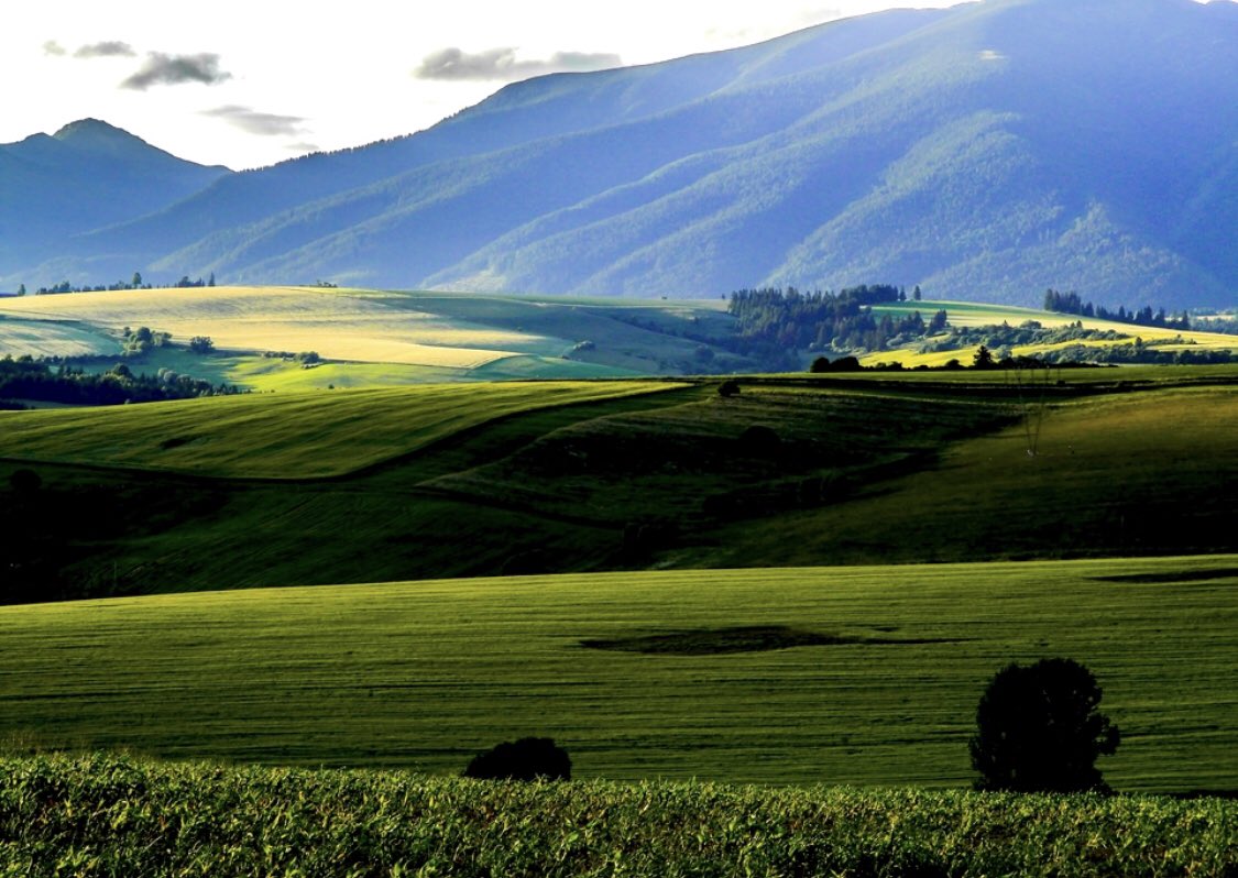 SlovakiaUNNY's tweet photo. Happy #EarthDay2019 Protecting species &amp; fostering biodiversity in cities. On this day let us do sth to our planet that increases its beauty. Today &amp; everyday is #EarthDay #ClimateAction #Climate4All #plasticpollution #Agenda2030 #ClimateSummit ​#UNHABITAT https://t.co/XIIU3z2QCz