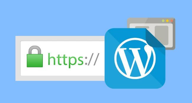 Alerta Hosting tweet media