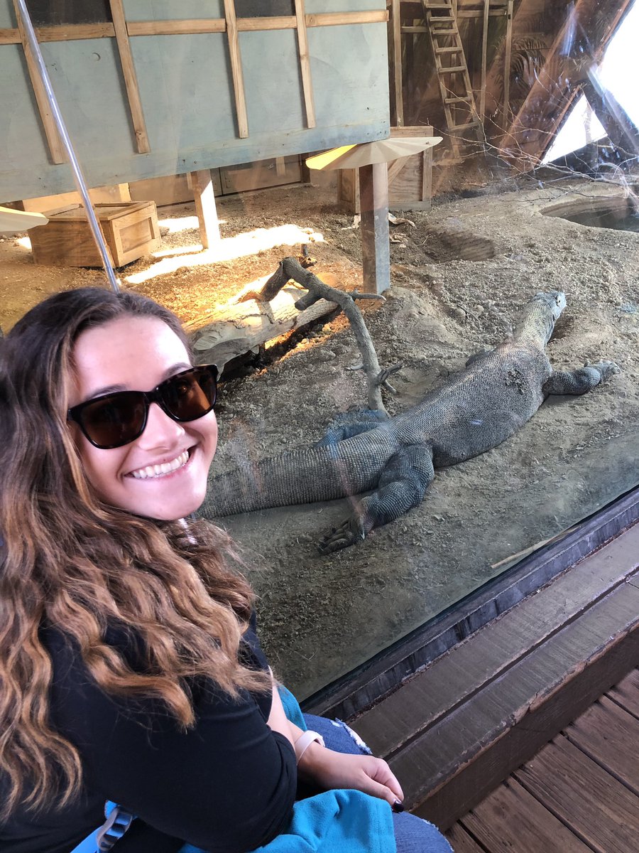 Ecosystems with greater biodiversity: an abundance of resources such as food, water, shelter because of the variety of vegetation. Also these ecosystems are close to the equator because of warmer temperatures and increase in rainfall there is an increase in vegetation.#goapes