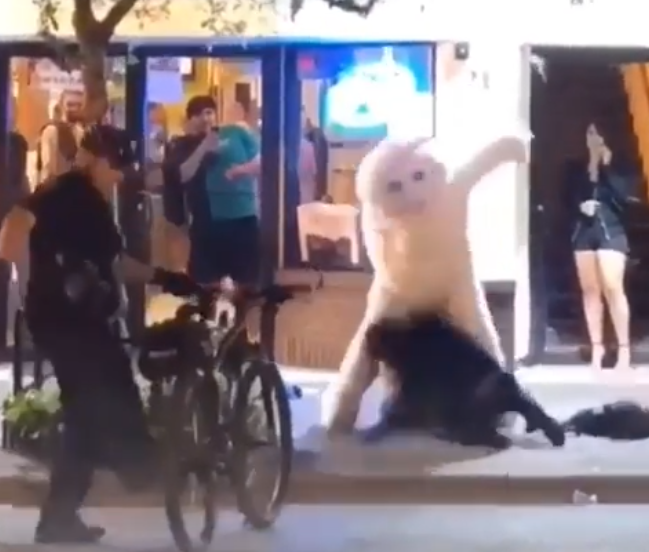 Florida Easter Bunny hammered a bong, hopped up on the ladies & threw hands outside a downtown Orlando bar  https://bustedcoverage.com/2019/04/22/orlando-easter-bunny-fight-video/