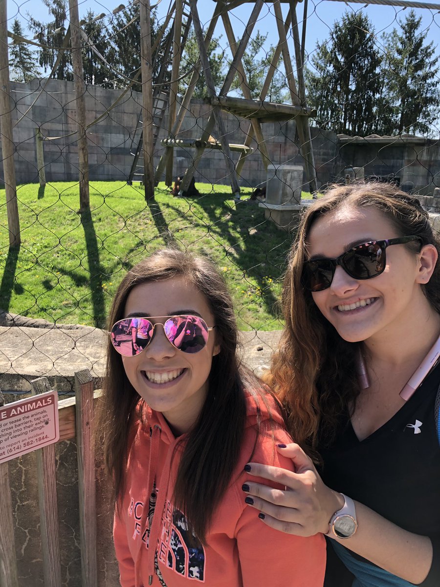 1. Reduces CO2 in the atmosphere while increasing oxygen levels
2. Provides habitats for an abundance of species which increases biodiversity :) #goapes