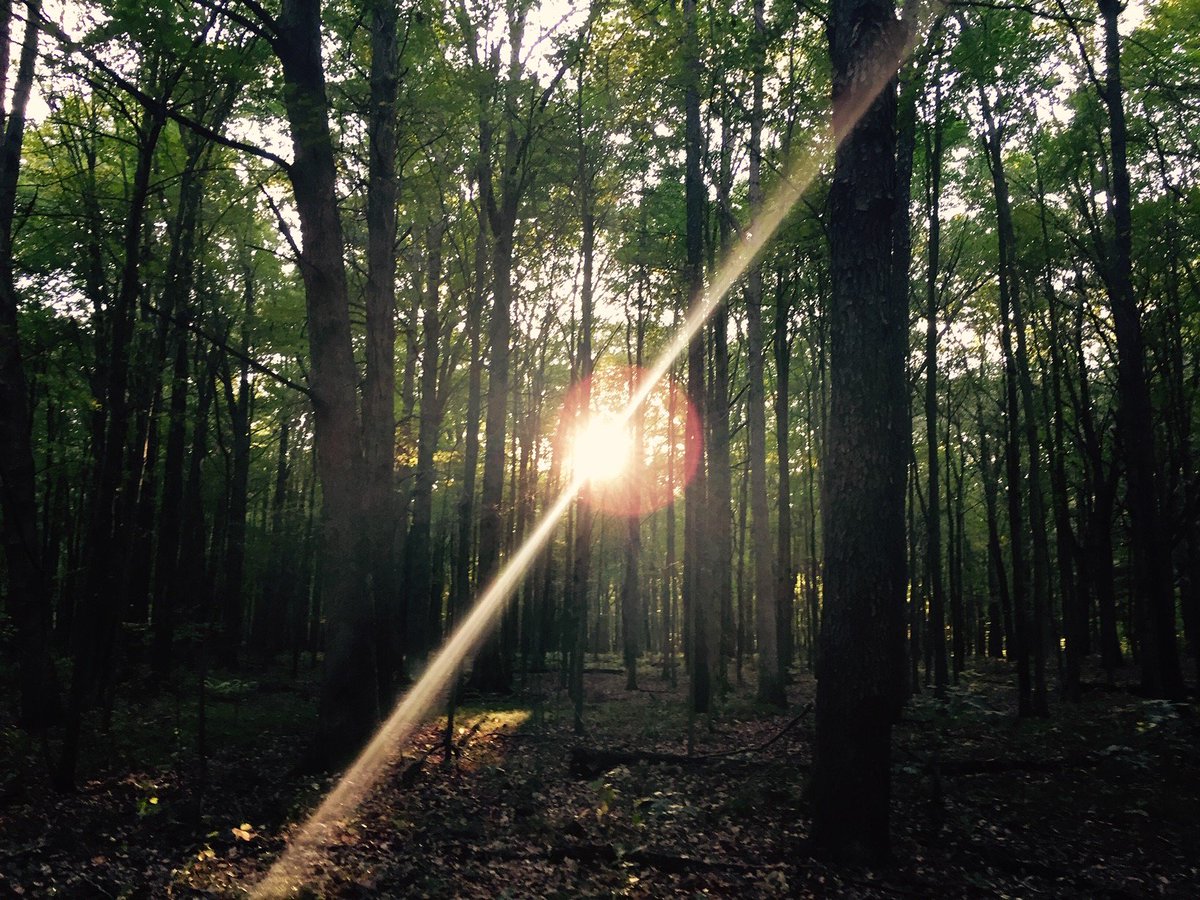 Elliottmarkc's tweet image. Every Day is Earth Day!