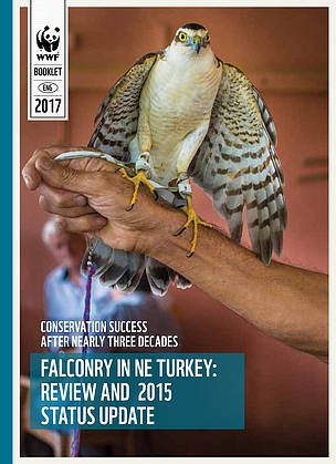 Analogously, a less well known  #conservation success has been achieved in NE Turkey, where  @WWF worked with falconers to stop killing of raptors as food for Sparrowhawks. A sustainable, and beautiful  #falconry tradition now exists there.  https://d2hawiim0tjbd8.cloudfront.net/downloads/2017_wwf_falconry_in_ne_turkey_lr.pdf