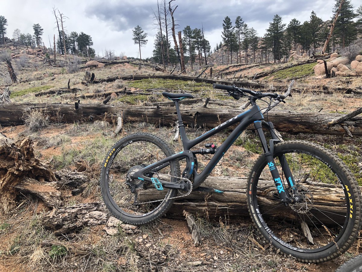 JoeColeFOX21's tweet photo. A real balance between beauty and destruction years after the Hayman Fire. This is Buffalo Creek home of some great mountain bike trails. Sections still have trees but others are desolate. #HaymanFire @ActiveColorado https://t.co/xQwwL746gT