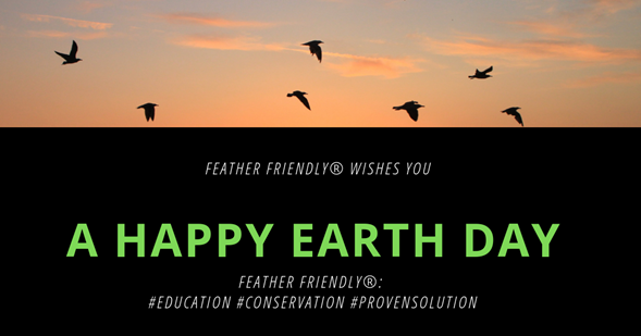 FeatherFriendly's tweet image. Happy Earth Day from FEATHER FRIENDLY®: 
#Education #Conservation #ProvenSolution 
http//www.featherfriendly.com 

#Earthday #ecofriendly #birdwatching #birdscantseeglass #birdfriendlybuildings #birdsafebuildings #birdsofinstagramjavascript:;