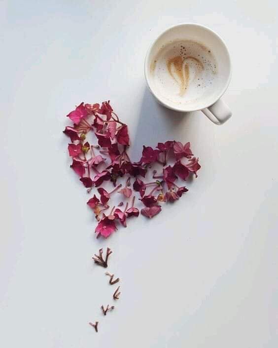 idowumartins5's tweet image. “Beauty is simply reality seen with the eyes of love” 
    - Rabindranath Tagore

#LifeApplication #Love