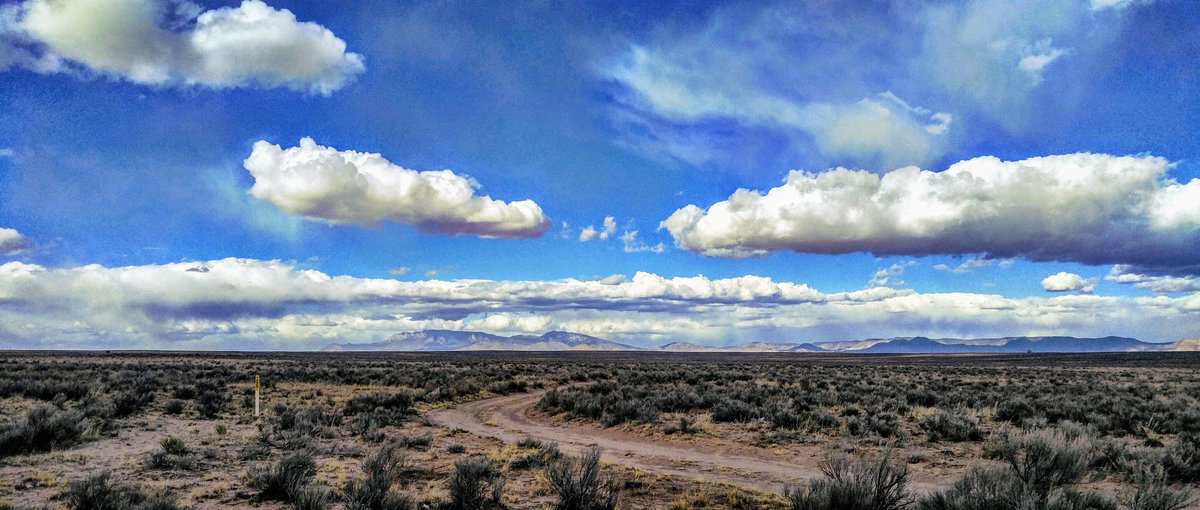 Big_Red_Rage's tweet photo. Went to visit my friend in #Belen #NewMexico and the landscape was so mesmerizing I grabbed my camera and took pics of a beautiful memorable day.
#RedFocusPhotography #nmwx #NewMexicoTrue @koat7news @ByronKOAT @JoeKOAT @EricKOAT @ShellyKOAT @ChristineKOAT @NewMexico https://t.co/XXzYCorBuF