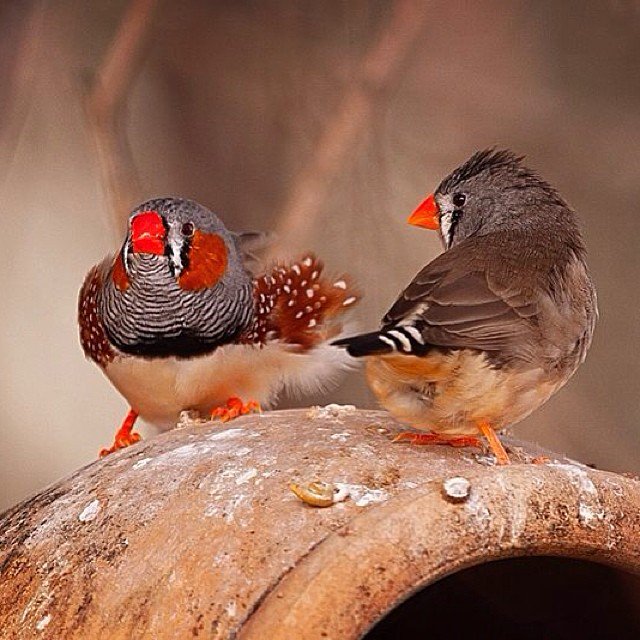 idowumartins5's tweet image. “There has not yet been a person in our history who led a life of ease whose name is worth remembering.”  - Theodore Roosevelt
#LifeApplication #Growth