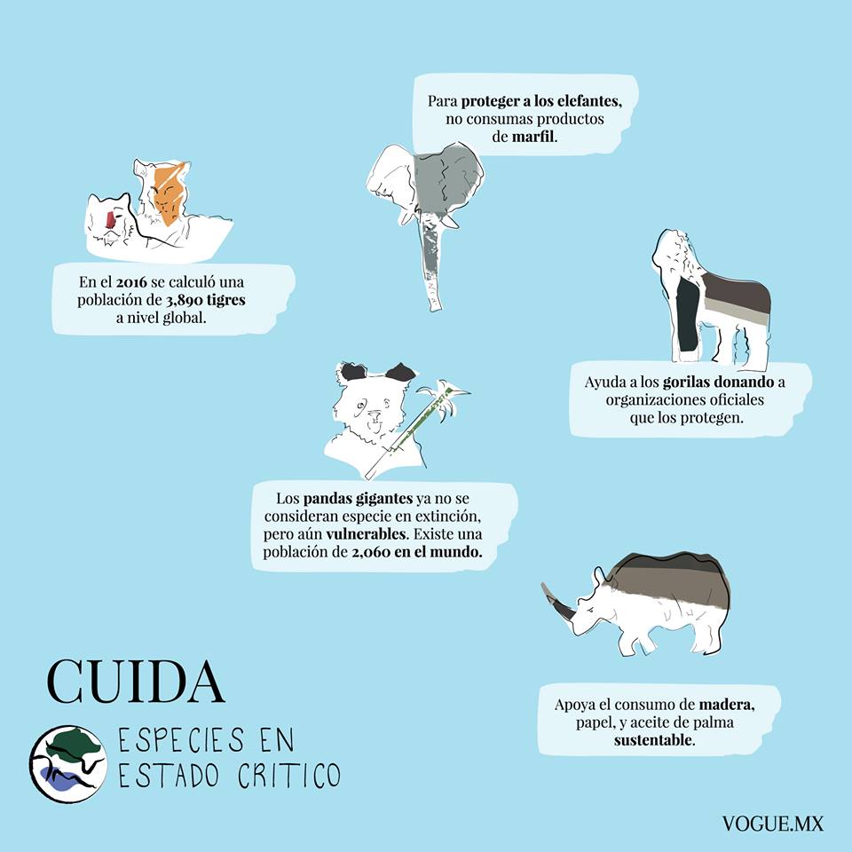 voguelatam's tweet photo. #DíaDeLaTierra "Mucha gente pequeña, en lugares pequeños, haciendo cosas pequeñas, puede cambiar el mundo"- Eduardo Galeano. https://t.co/ABiuk3nGKD