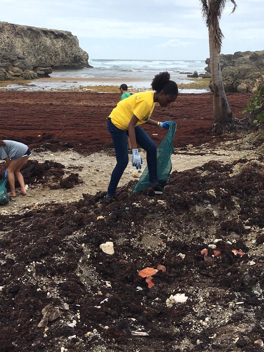 fct_barbados's tweet photo. This is how we celebrated #Earthday2019 with @USEmbassyBbdos and #DaretoCare at #RiverBay! https://t.co/XCyBZLPfmj