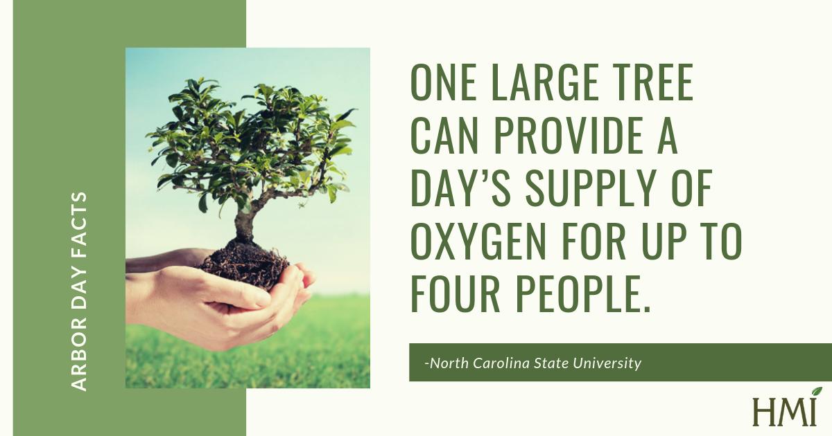HMI_TreeCare's tweet photo. With Arbor Day coming up on April 26th, HMI would like to share some of the fun and interesting facts related to the value of trees.

#TreeLife #ArborDay https://t.co/0ARD63wvf8