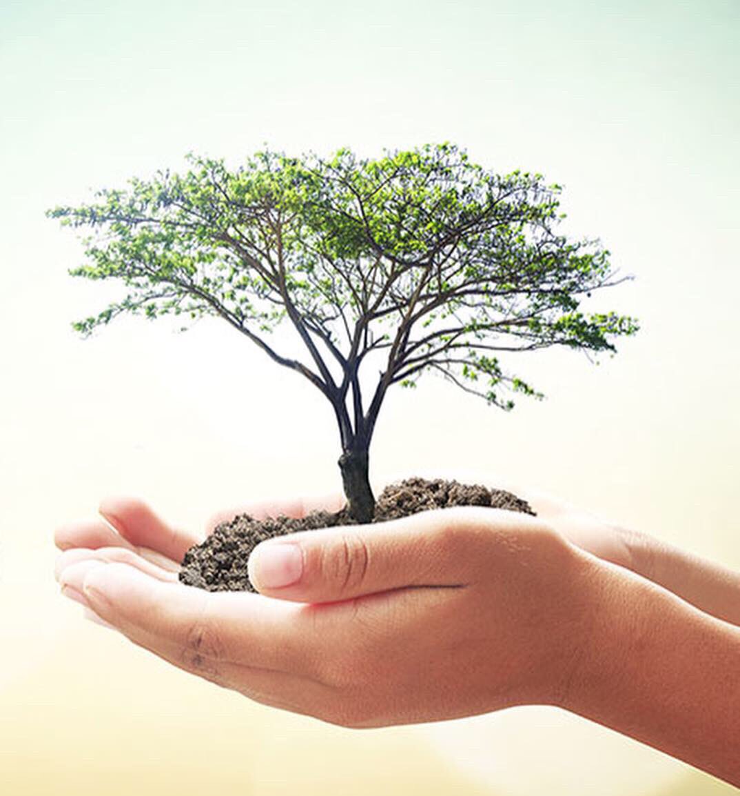 NOCOTUBA PARAGUAY tweet media