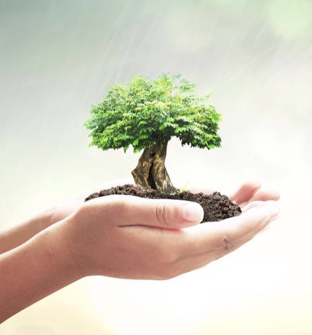 NOCOTUBA PARAGUAY tweet media