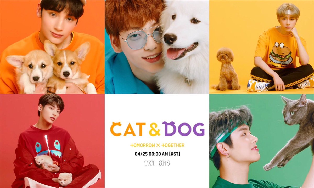 Txt ёнджун cat dog. Txt cat and dog обложка. Cat dog txt альбом. ёнджун cat dog. тхт кэт дог.