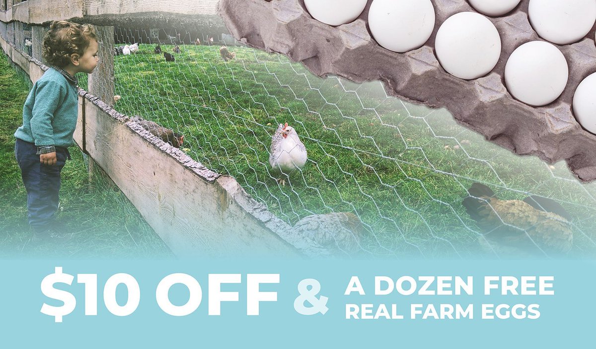 Doorganics tweet media