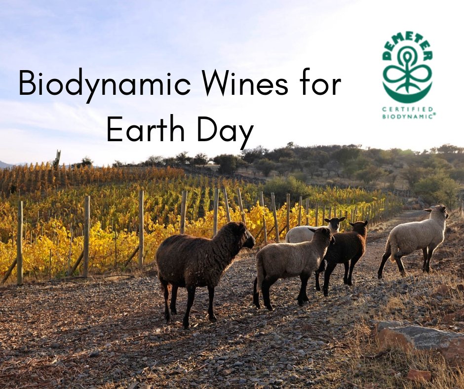 NaturalMerchant's tweet photo. Happy Earth Day! Toast with @DemeterUSA certified Biodynamic wines from @chakanawines, @VinaKoyle, @Giancarlo_Ceci Agrinatura &amp; biokult. Biodynamic farming =  healthy vines, healthy grapes, and a healthier earth. https://t.co/90cngUFyKU
#EarthDay2019
#Biodynamicwine 
#DemeterUSA https://t.co/do3wrCL5lk