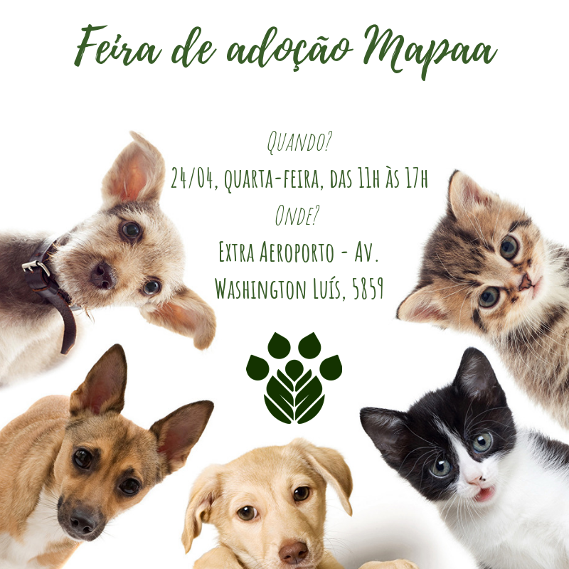 instituto_mapaa's tweet photo. Mais uma oportunidade imperdível para dar uma nova chance aos nossos pets resgatados! Participe do nosso evento de adoção! #Mapaa #ONG #ProtreçãoAnimal #Adote #Adoção #NãoCompreAdote #AdotaréMais https://t.co/Y495JZh85m