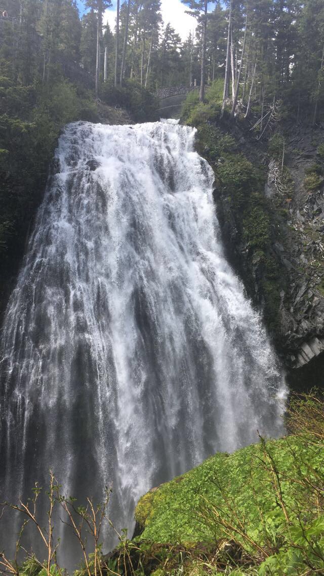 ally_henegar's tweet photo. Happy earth day!!🌎☀️ https://t.co/VBPrE9JqPK
