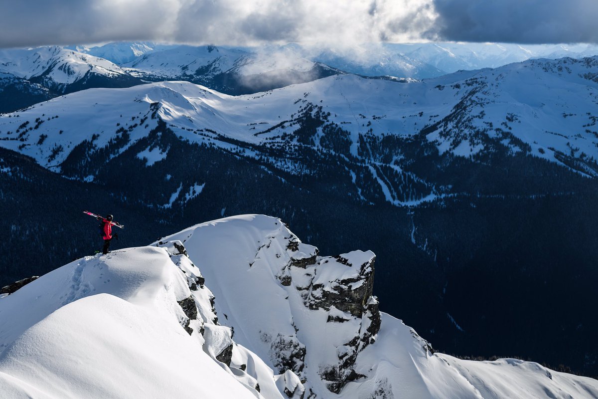 Anna Segal tweet media