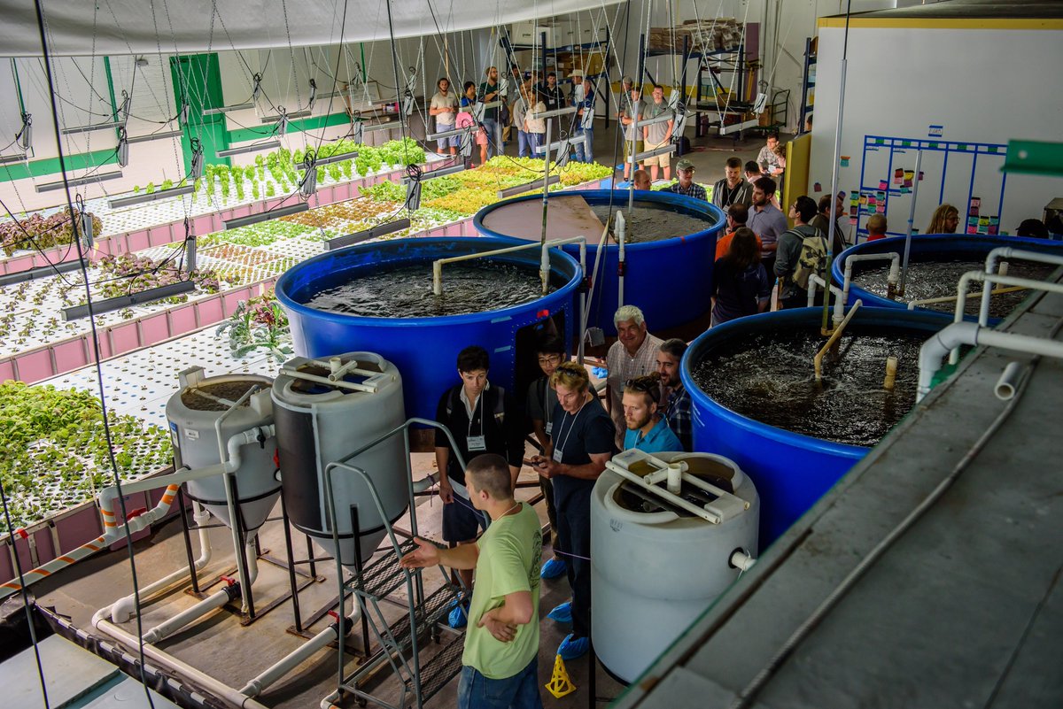 TrifectaEco's tweet photo. This #EarthDay, we're proud to focus on the importance of #sustainable ag, and to produce food that doesn't harm the #planet. By farming indoors, selling locally, and never using any additives, we can feel good about the #food we're eating AND our place in this world. #aquaponics https://t.co/lgcr2hfFHd
