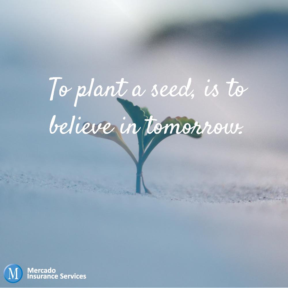 To plant a seed, is to believe in tomorrow.
#MotivationMonday #InspirationalQuotes #Motivation #Inspiration 
#mercadoinsuranceservices #mercado #insurance #businessinsurance #smallbusiness #business #smallbusinessinsurance #areyoucovered