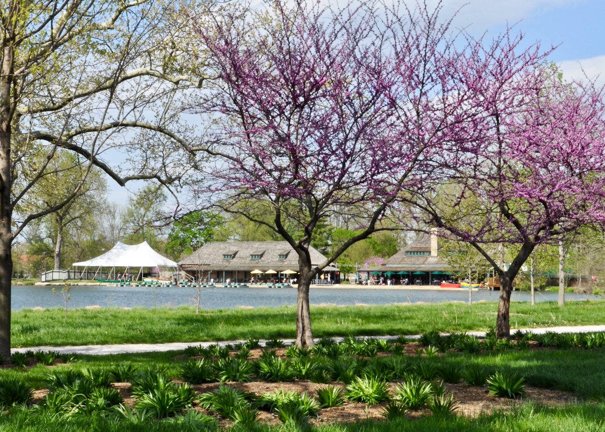 Greater Saint Louis Chapter CSI tweet media