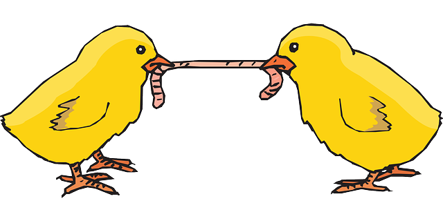 The Worm Farmer tweet media