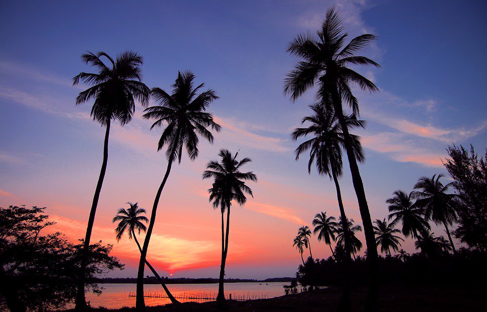 “Though we travel the world over to find the beautiful, we must carry it with us, or we find it not.” ― Ralph Waldo Emerson

#SriLanka #Travel #Wanderlust #Beaches #Sunsets #Paradise #Vacation #Destinations #SriLankaTourism #VisitSriLanka #SriLankaTravel #SoSriLanka #lka