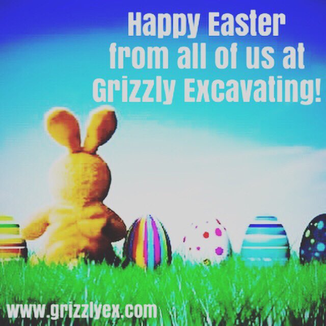 Grizzly Excavating tweet media