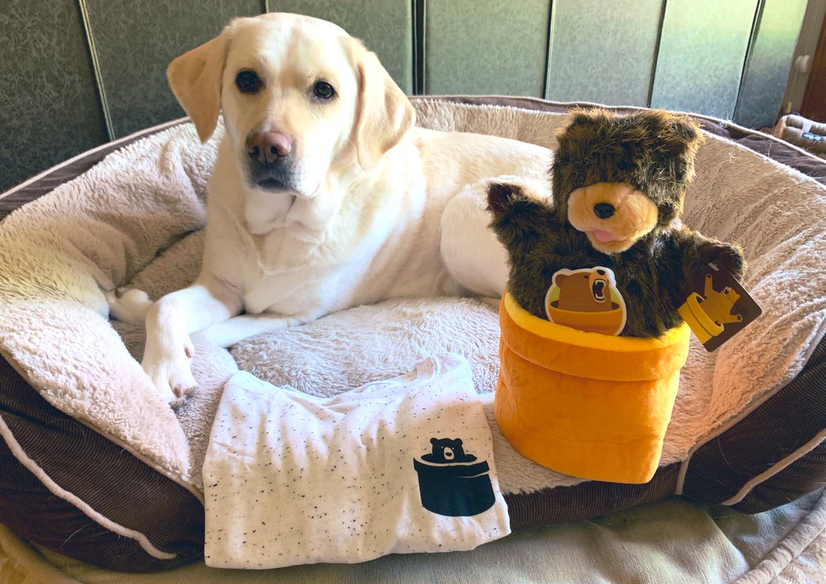 Thanks <a href="/theTunnelBear/">TunnelBear</a> for the bear-y cute swag! 😍 p.s. TunnelBear provides an easy to use #VPN service and they recently launched <a href="/Remembear/">RememBear</a> app for password #security
