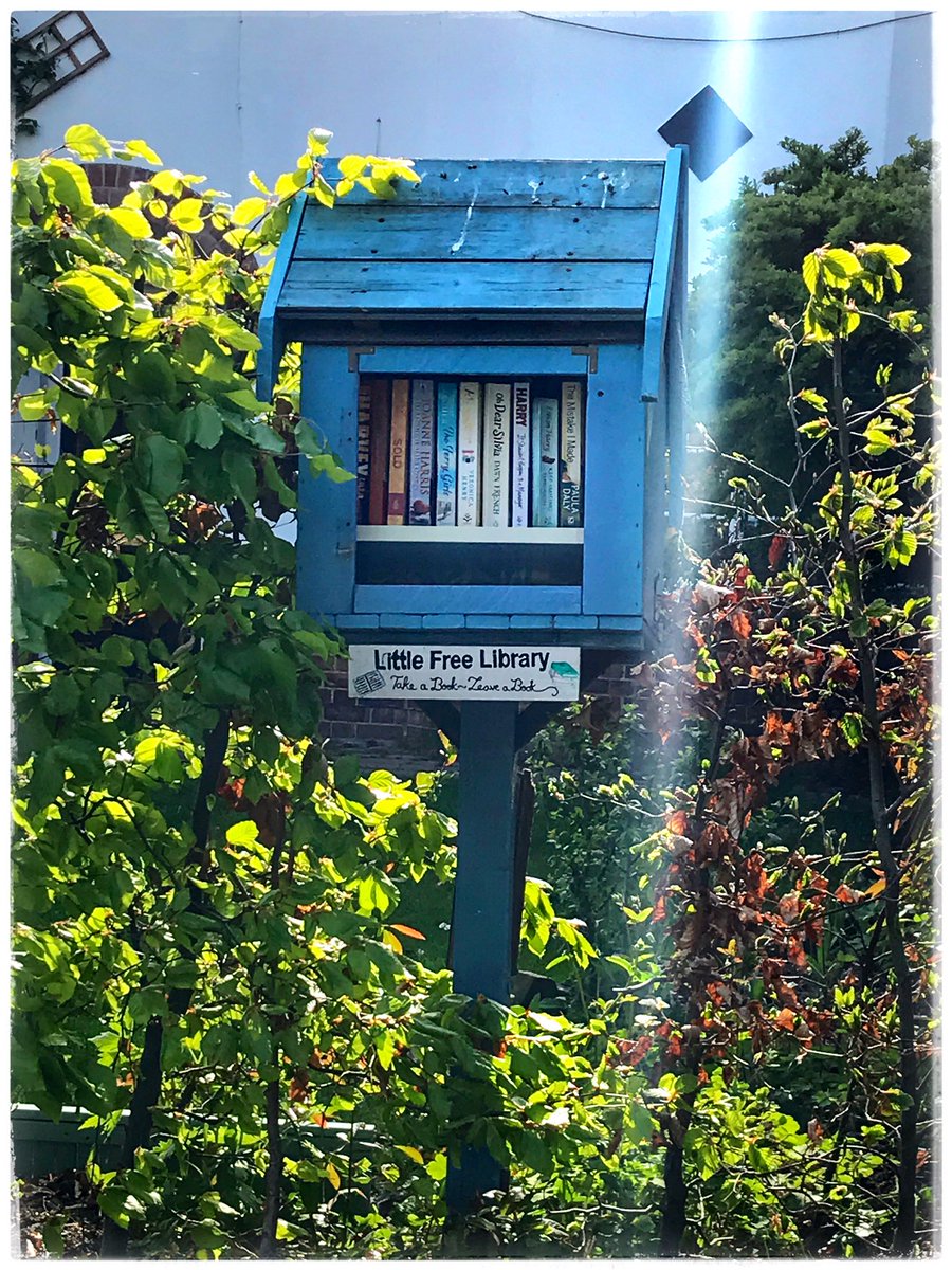 Tim Lihoreau tweet media