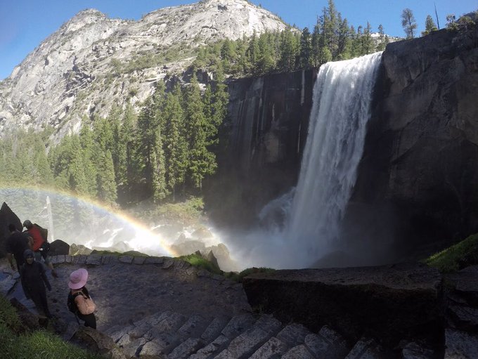 Happy earth day my fellow tree huggers. Here are some of my adventures on this beautiful planet 🌎💚💚 https://t